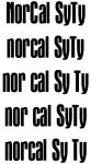 norcalsyty5.jpg